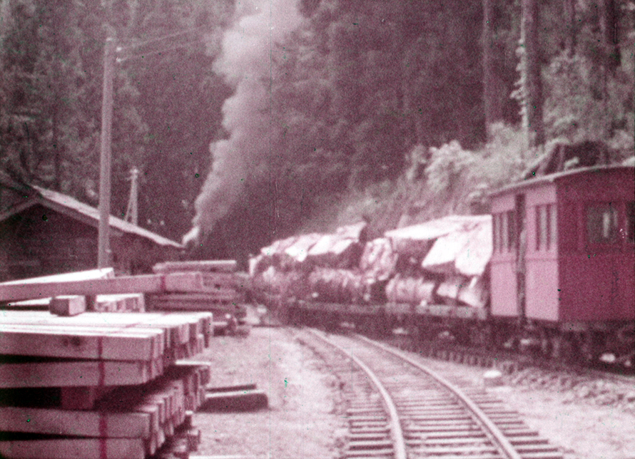 阿里山的老火車頭Old Locomotive in Alishan